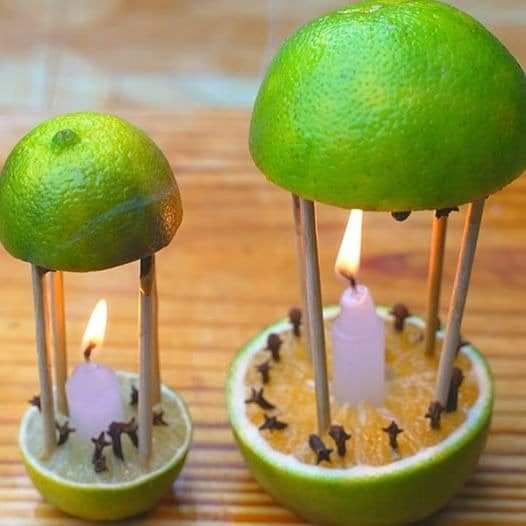 Mój dom pachnie cudownie, nie mam już much ani komarów i prawie nic nie wydałem