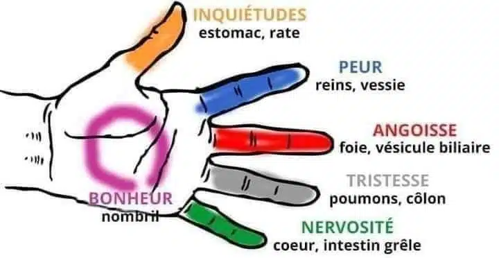 Każdy palec jest połączony z organem: odkryj tę japońską metodę