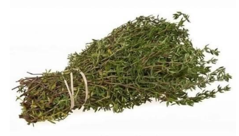 Najsilniejsze zioło niszczące pasożyty, infekcje dróg moczowych i pęcherza, wirusy opryszczki i grypy