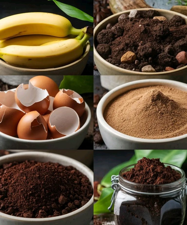 12 domowych nawozów roślinnych, które z łatwością znajdziesz w domu