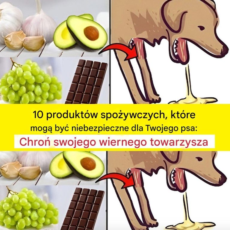 Eksperci ujawniają: 10 produktów spożywczych niebezpiecznych dla psów – chroń zdrowie swojego pupila!