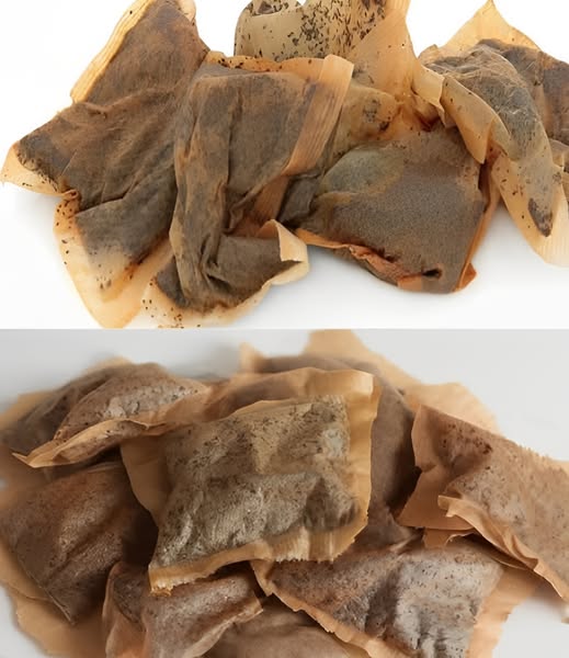 Torebki po herbacie: 7 domowych sposobów, które pokażą Ci, dlaczego nigdy nie powinieneś wyrzucać zużytych torebek po herbacie