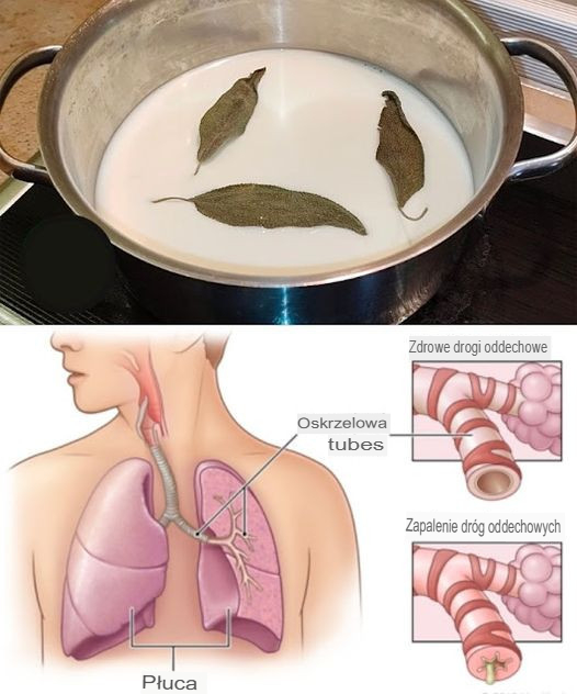 Środek na kaszel i zatkany nos z liści laurowych, mleka i miodu: przepis, którego nie można zapomnieć!