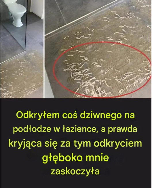 Odkryłem coś dziwnego na podłodze w łazience, a prawda kryjąca się za tym odkryciem głęboko mnie zaskoczyła