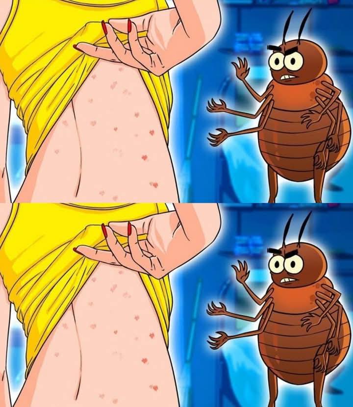 pluskwy w domu? Niezawodny sposób na pozbycie się brudu i pozostawienie materaca świeżym i czystym