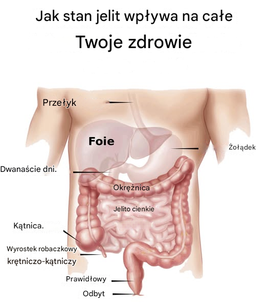 Pr Henri JOYEUX – Jak stan Twoich JELIT wpływa na całe Twoje ZDROWIE