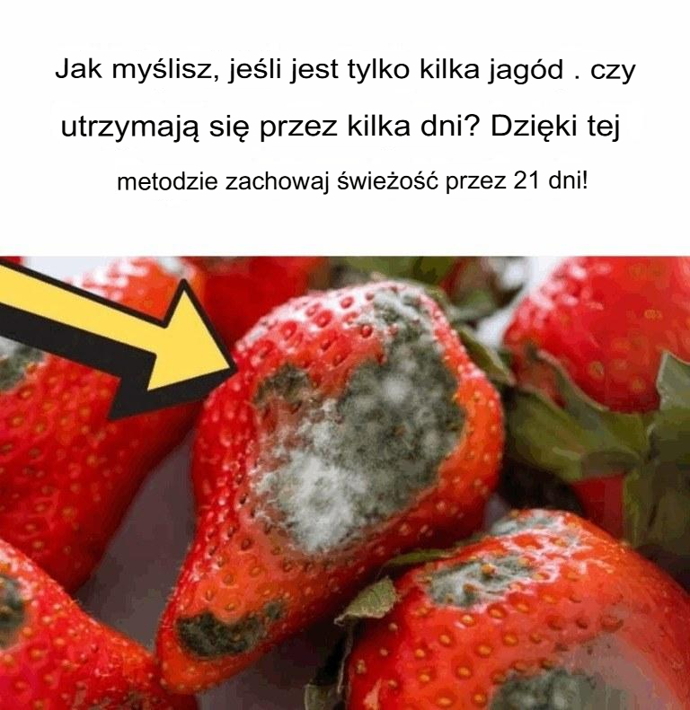 Jak zachować świeżość jagód na dłużej – nawet do 21 dni!