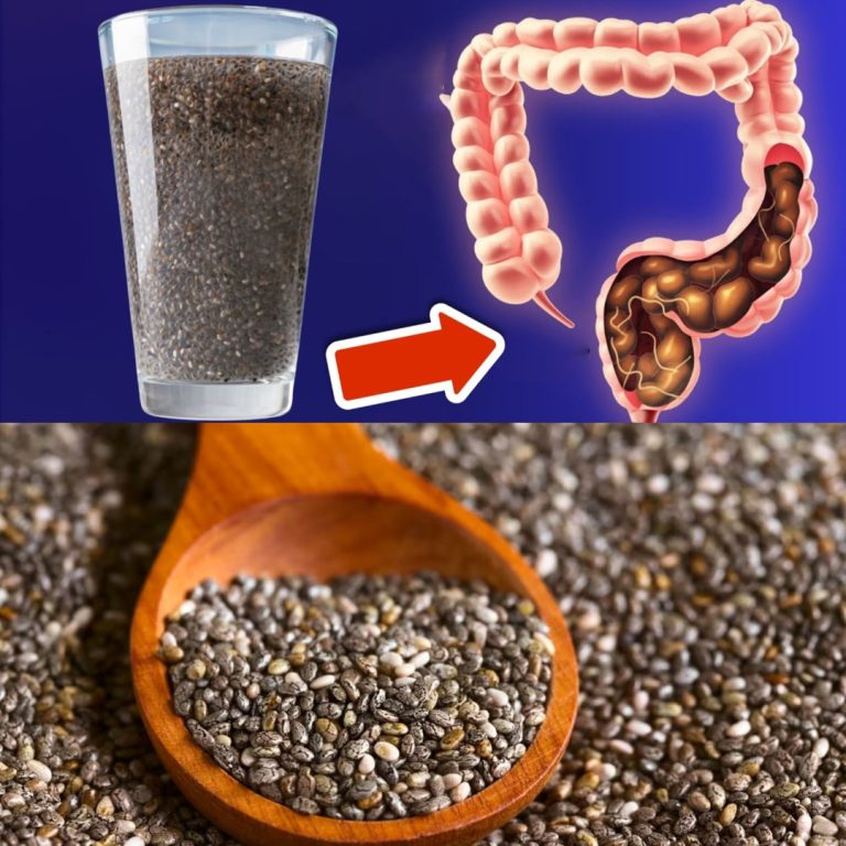 Wszystkie choroby mają swoje źródło w jelitach (OTO jak możesz je wyleczyć) 🤯 – Magia wody z nasionami chia 💥!