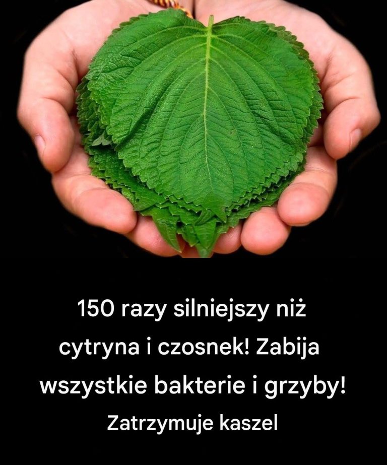 150 razy silniejszy niż cytryna i czosnek! Zabija wszystkie bakterie i grzyby! Zatrzymuje kaszel