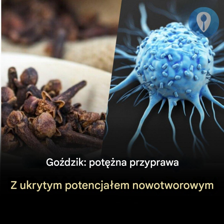 Goździki: silna przyprawa o ukrytym potencjale zwalczającym raka