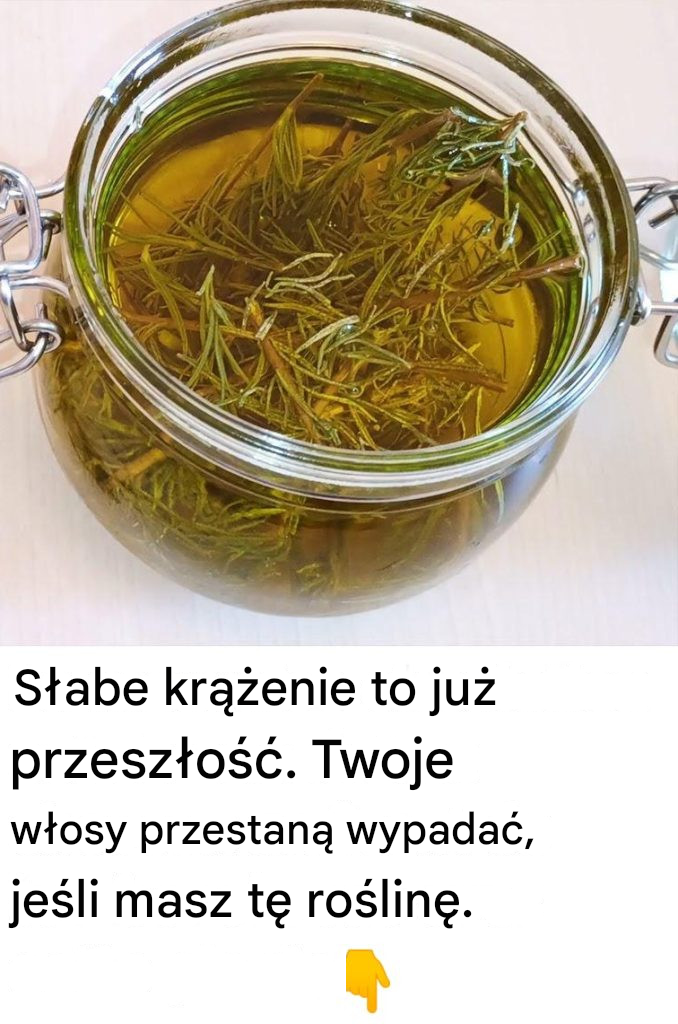 Słabe krążenie to już przeszłość. Twoje włosy przestaną wypadać, jeśli masz tę roślinę.