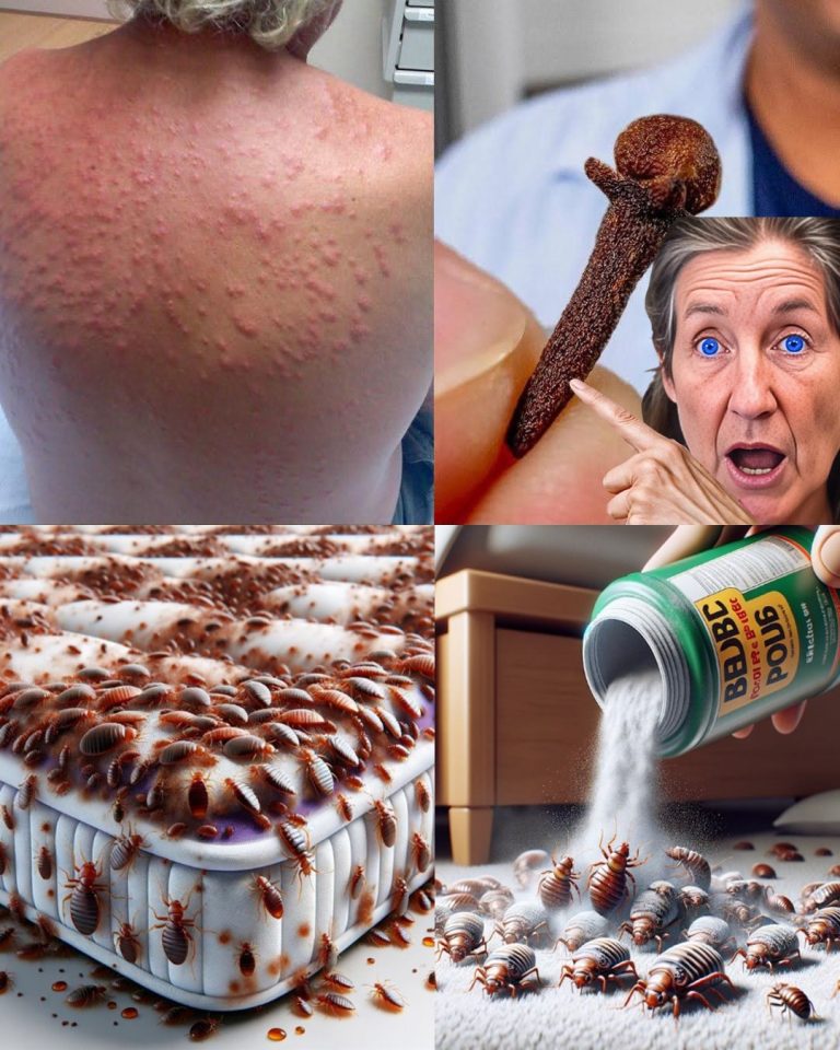 Jak pozbyć się pluskiew?