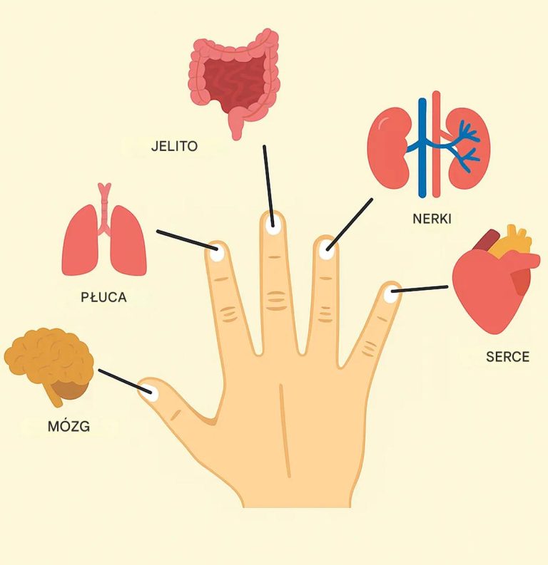 Każdy palec jest połączony z dwoma organami: niesamowita japońska metoda terapeutyczna