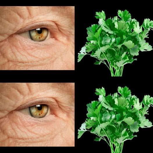 Przepis na sałatkę Parsley Vision Vitality