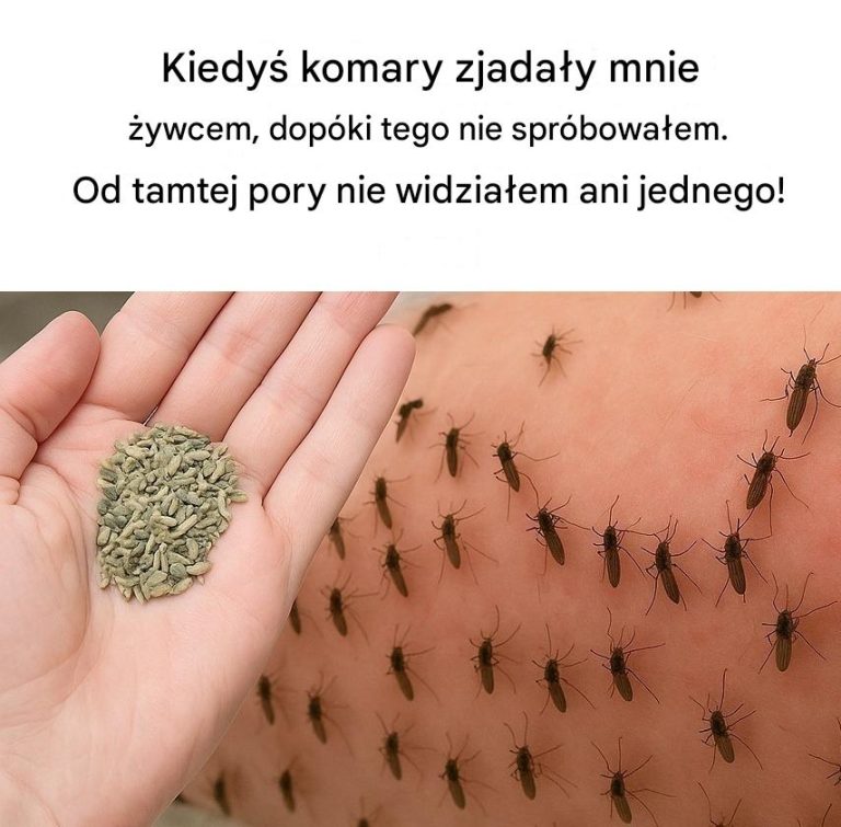 Jeśli to zrobisz, nigdy więcej nie zobaczysz komarów