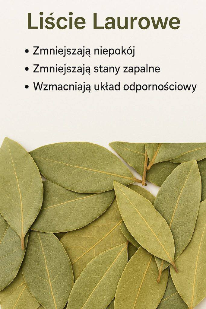 Liście laurowe: Właściwości zdrowotne i środki ostrożności, które warto znać