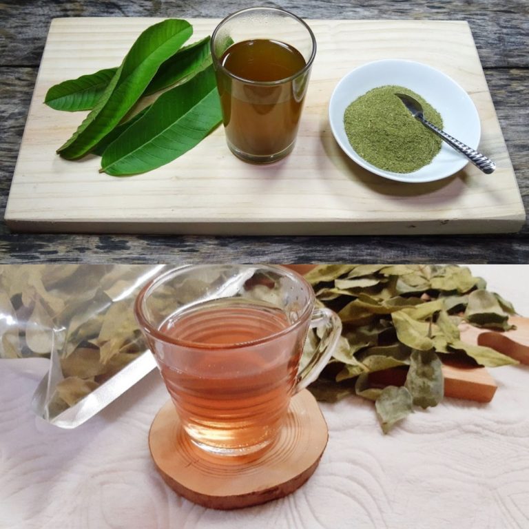 Niesamowite zalety liści guawy | 11 powodów, dla których warto pić