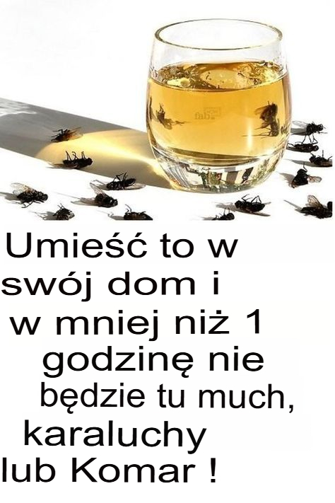„Wypróbowałem ten domowy trik i w ciągu 5 minut moja kuchnia pozbyła się meszek, bez użycia chemikaliów!”
