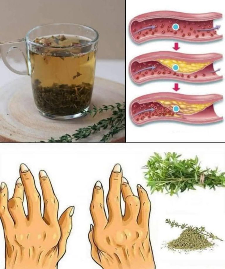 8 korzyści i zastosowań tymianku!!!