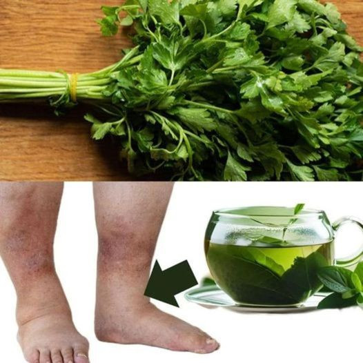 Odkryj magię pysznej herbaty