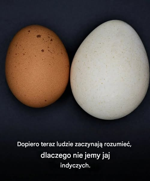 Dopiero teraz ludzie zaczynają rozumieć, dlaczego nie jemy jaj indyczych.