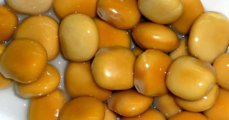 Czy często ją jesz? Ta roślina strączkowa to najpotężniejszy „ratownik serca”.