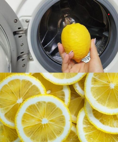 Tajemnicę tę skrywają także stare pralnie: nigdy wcześniej nie było tam takich ubrań