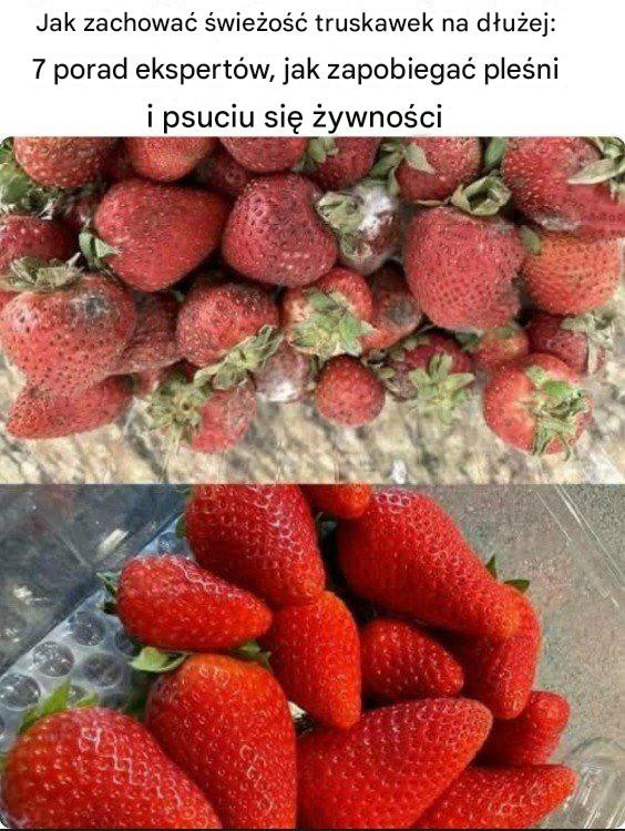 Jak zachować świeżość truskawek na dłużej: 7 porad ekspertów, jak zapobiegać pleśni i psuciu się żywności