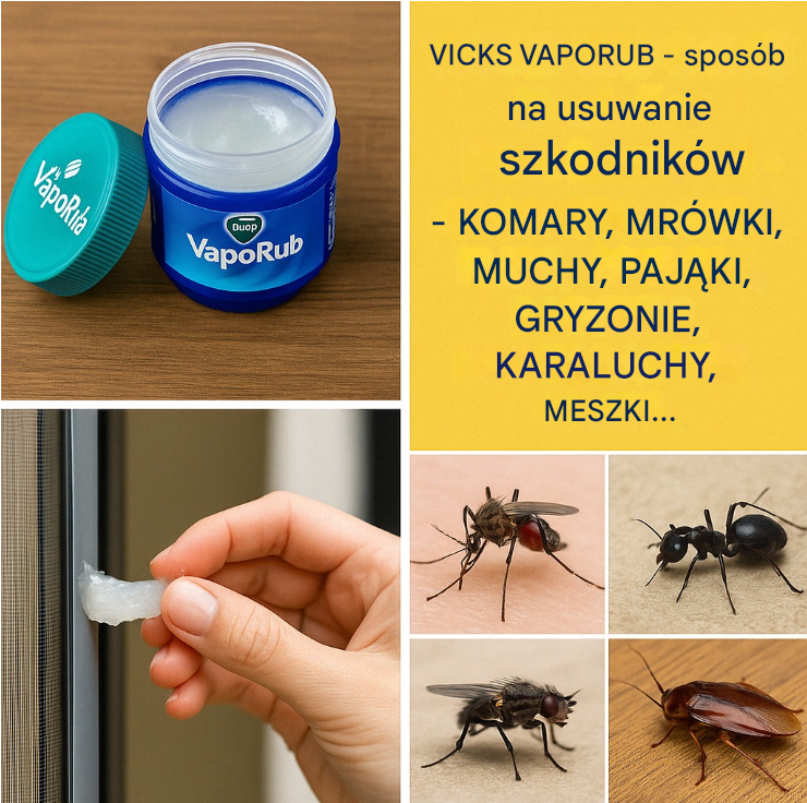 ak wykorzystać Vicks VapoRub jako domowy środek odstraszający szkodniki