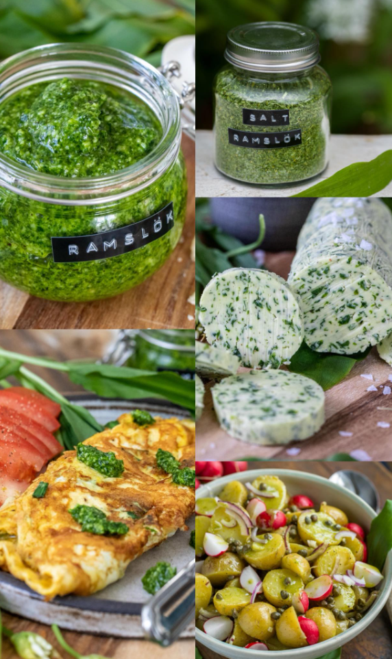 Przepis z dzikim czosnkiem