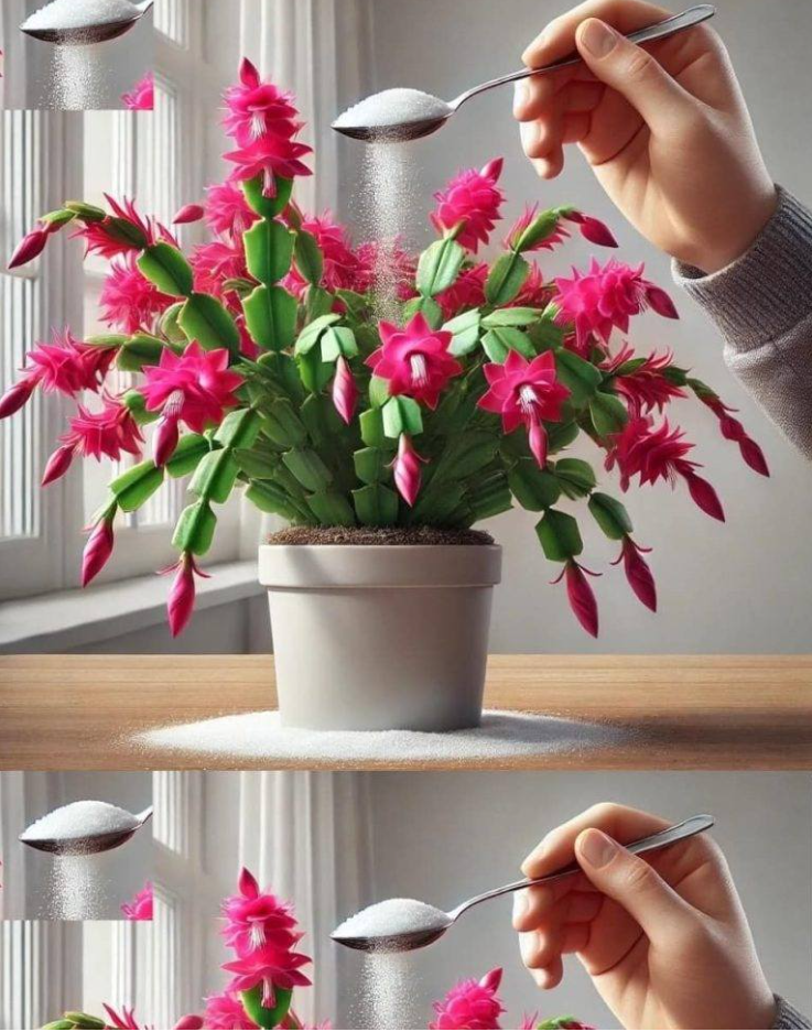 Naturalne środki odstraszające owady z roślin – Jak przygotować i zastosować czosnkowe mikstury