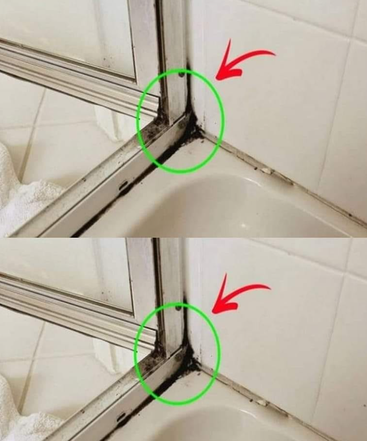 Jak szybko usunąć pleśń z silikonowych fug w prysznicu – prosty i skuteczny domowy sposób