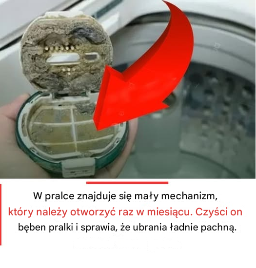 Jak czyścić filtr pralki, aby ubrania były naprawdę czyste i pachnące