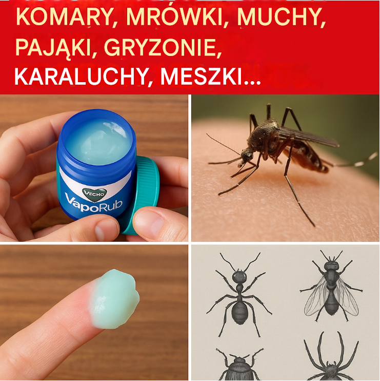 Zaskakujące zastosowanie Vicks VapoRub – naturalny sposób na pozbycie się domowych szkodników